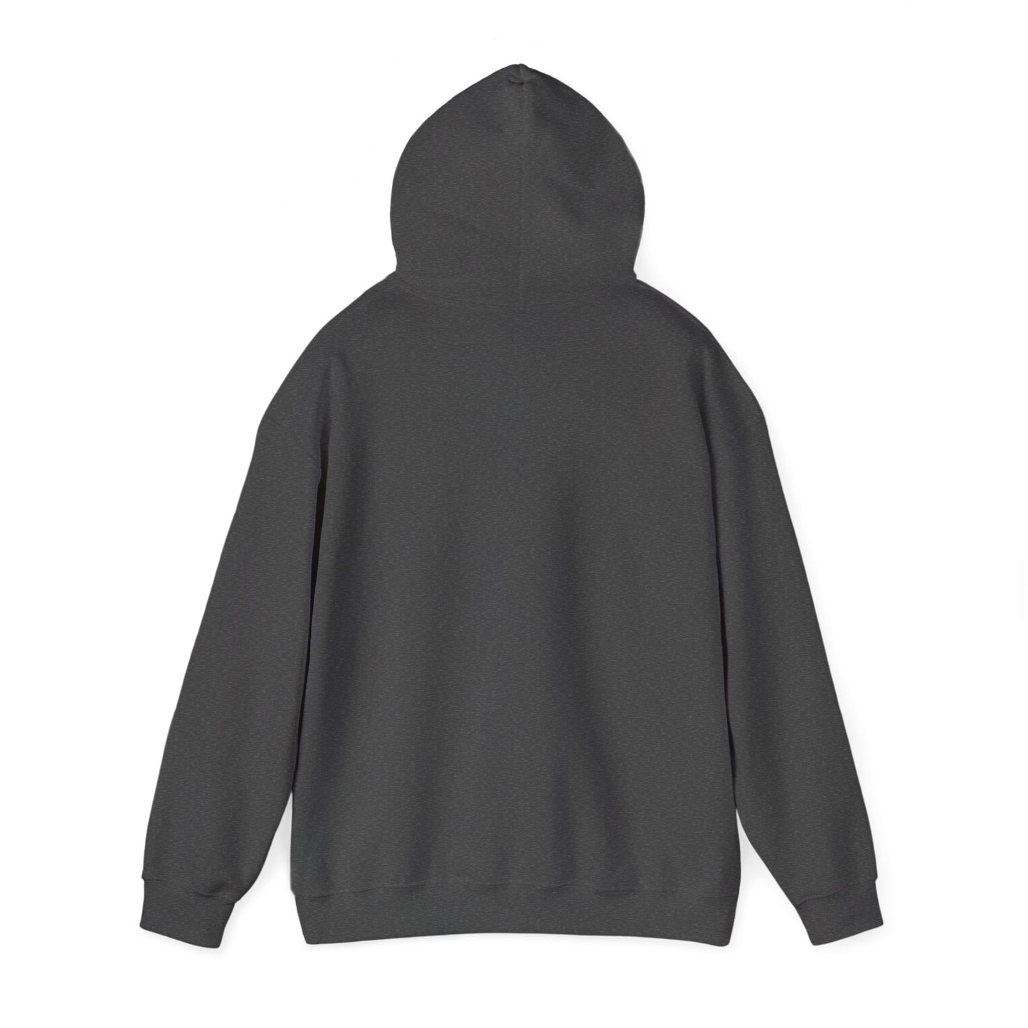 crow hoodie